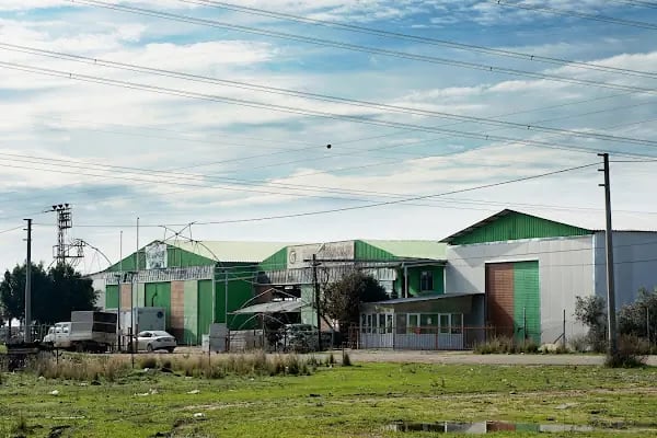 Güney Seracılık - MODERN SERA , BORU VE PROFİL ÜRETİCİSİ - Resim 18