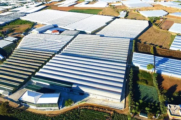 Güney Seracılık - MODERN SERA , BORU VE PROFİL ÜRETİCİSİ - Resim 4