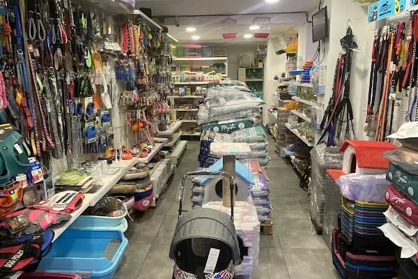 Blue Pet Shop (GÜLLÜK) - Resim 3