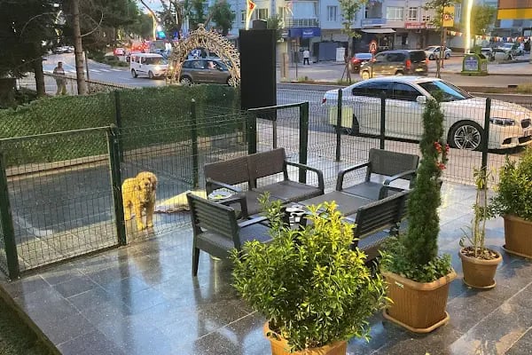 Vega Veteriner Tıp Merkezi Mamak - Resim 9