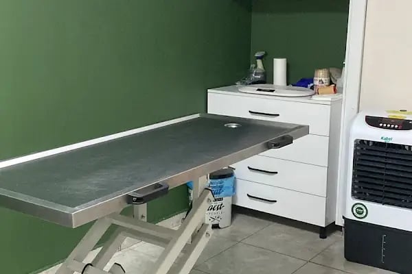 Vega Veteriner Tıp Merkezi Mamak - Resim 19