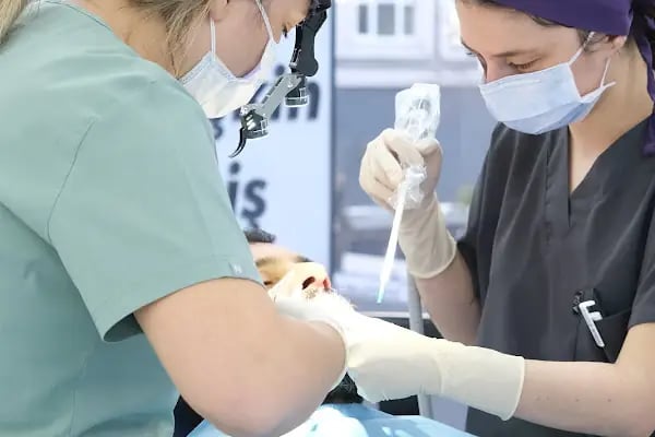 Seçkin Diş Ağız ve Diş Sağlığı Polikliniği - Resim 17