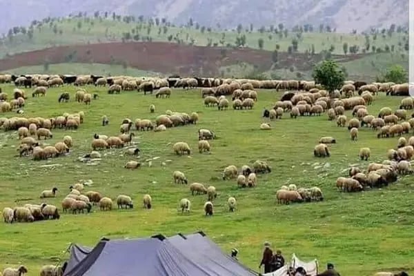 KILINÇ Kardeşler - Resim 1