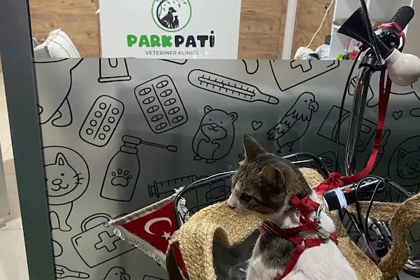 Özel Demre Park Pati Veteriner Kliniği - Resim 19