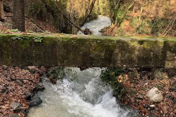 Kazdağı Alacahan Bungalov - Resim 15