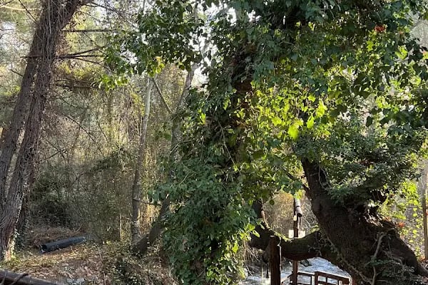Kazdağı Alacahan Bungalov - Resim 13