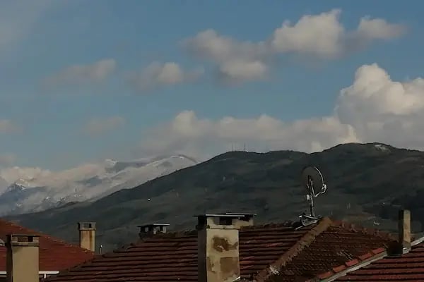 ÇiçekMalzemesi.Net - Resim 9