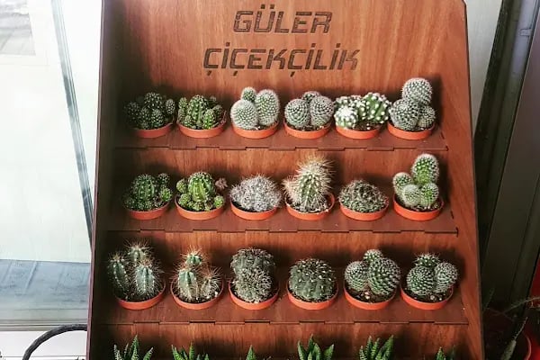 ÇiçekMalzemesi.Net - Resim 12