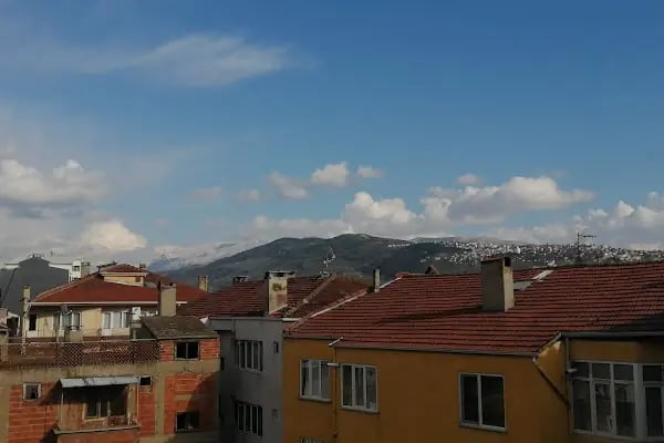 ÇiçekMalzemesi.Net - Resim 5