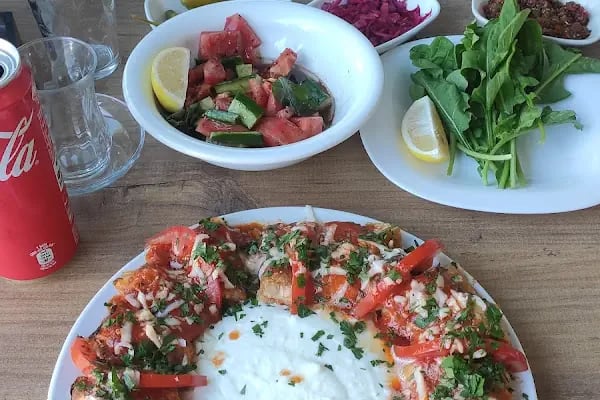 PASHA mangal kömür imalat ve ihracat - Resim 10