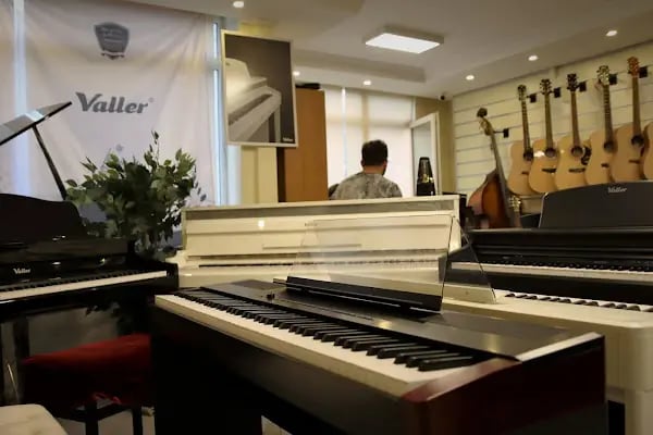 Pan Müzik Aletleri Mağazası - Ses ve Stüdyo Sistemleri Mağazası - Resim 17