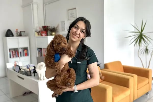 PETAMOR VETERİNER KLİNİĞİ - Resim 5