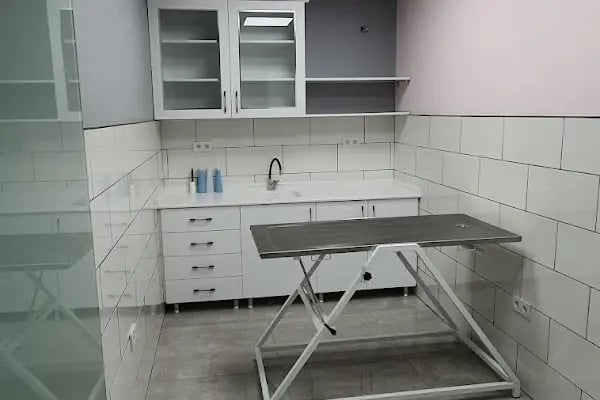 İZMİRVİTA VETERİNER KLİNİĞİ - Resim 15