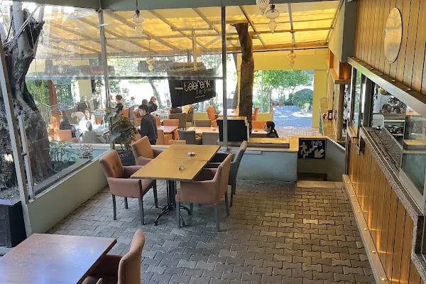 Teleferik Kır Bahçesi - Resim 13