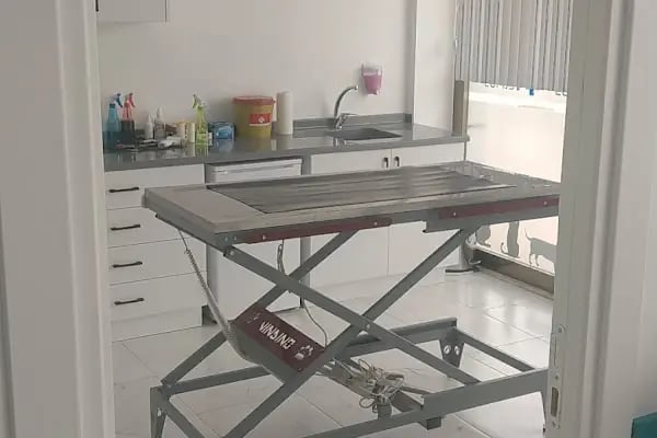 Çerkezköy VetPlus Veteriner Kliniği - Resim 16