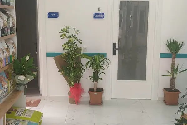 Çerkezköy VetPlus Veteriner Kliniği - Resim 13