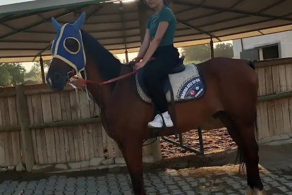 Manisa Atlı Spor Kulubü - Resim 7
