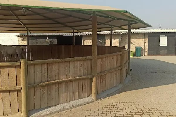 Manisa Atlı Spor Kulubü - Resim 14