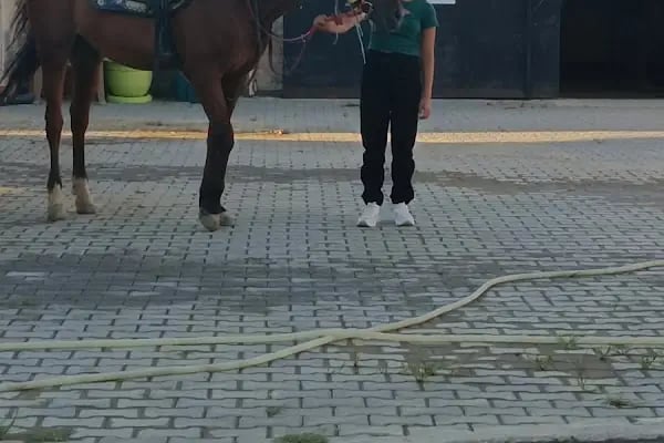 Manisa Atlı Spor Kulubü - Resim 17