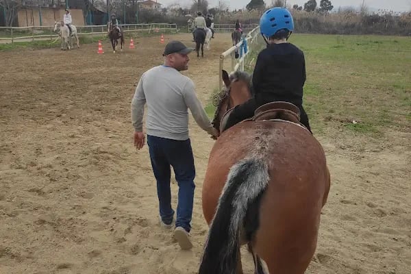 Manisa Atlı Spor Kulubü - Resim 3