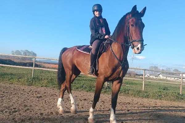 Manisa Atlı Spor Kulubü - Resim 8