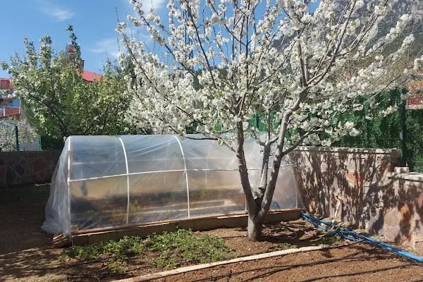 Ardıç Arası YAYLAK sitesi - Resim 3