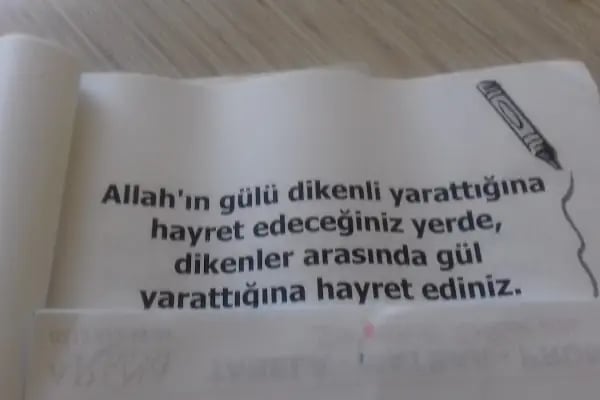 Koç Pide - Resim 20