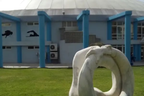Ege Üniversitesi Prof.Dr. Sermed Akgün Olimpik Kapalı Yüzme Havuzu - Resim 9