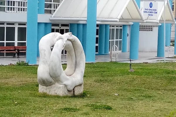 Ege Üniversitesi Prof.Dr. Sermed Akgün Olimpik Kapalı Yüzme Havuzu - Resim 13