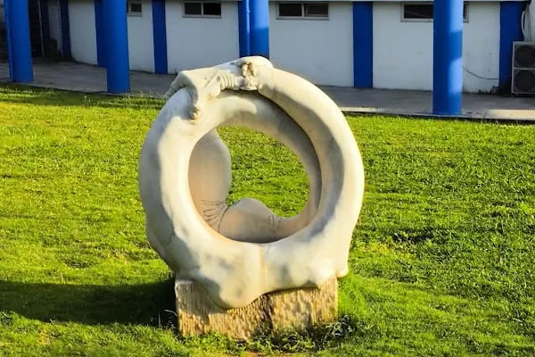 Ege Üniversitesi Prof.Dr. Sermed Akgün Olimpik Kapalı Yüzme Havuzu - Resim 15