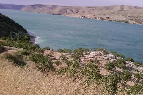 Gaziantep Üniversitesi Nizip Eğitim Fakültesi - Resim 2