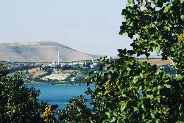 Gaziantep Üniversitesi Nizip Eğitim Fakültesi - Resim 16
