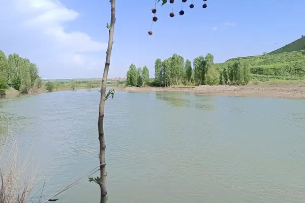 Acem Gölü Çay Bahçesi Restorant - Resim 5