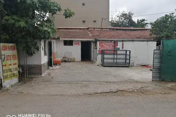 KAZAN HAYVANCILIK Adak Kurban Satış Merkezi - Resim 1