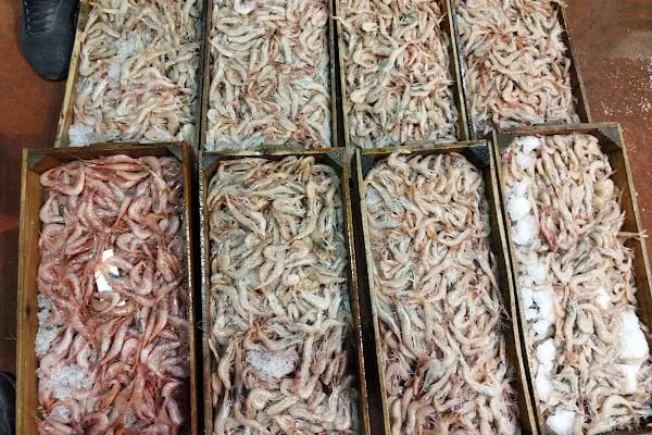 Demre Av Market - Resim 14