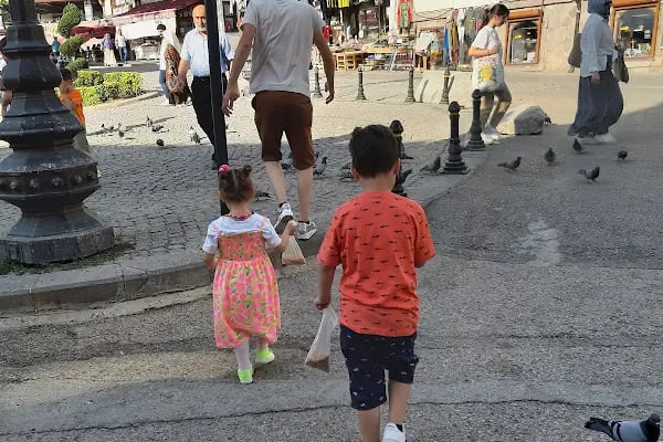 İnsan ve Medeniyet Hareketi Ankara - Resim 11