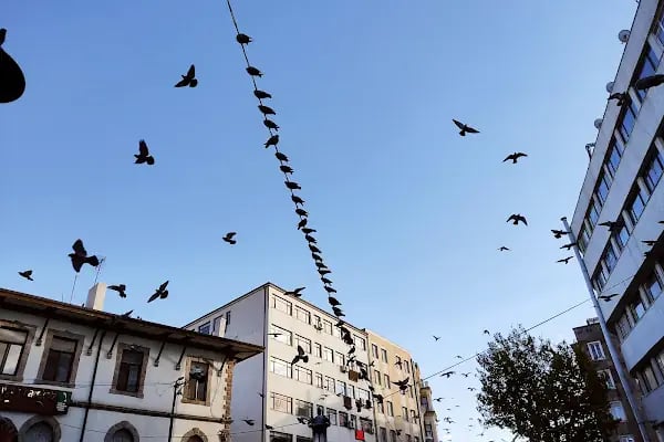 İnsan ve Medeniyet Hareketi Ankara - Resim 4