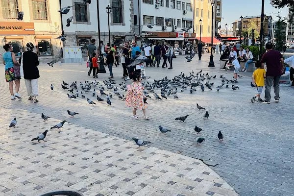 İnsan ve Medeniyet Hareketi Ankara - Resim 3