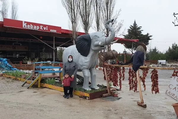 Cankurtaran Honaz Milli Parkı - Resim 13