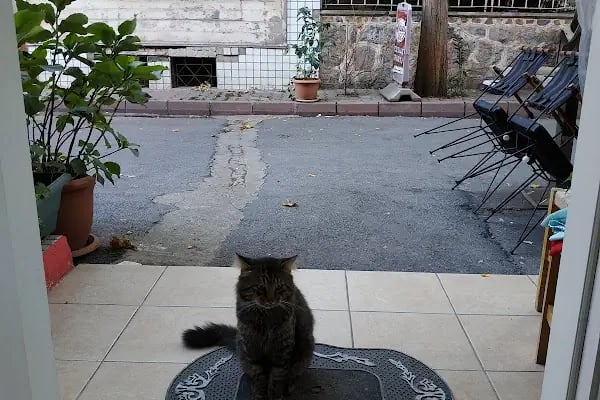 MASAL HOTEL BÜYÜKADA - Resim 17