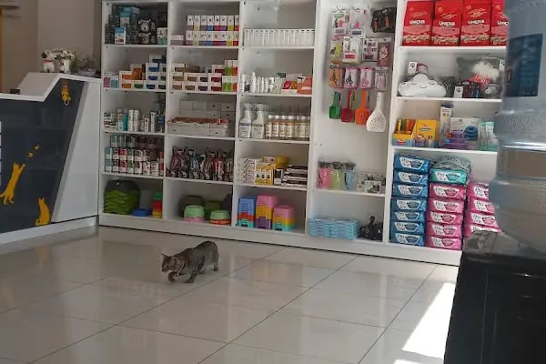 LUCET VETERİNER KLİNİĞİ - Resim 17