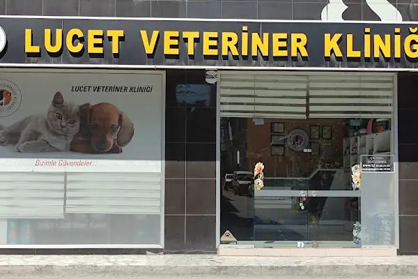LUCET VETERİNER KLİNİĞİ - Resim 10