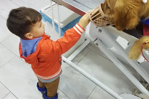 Petlife Veteriner Kliniği - Resim 18
