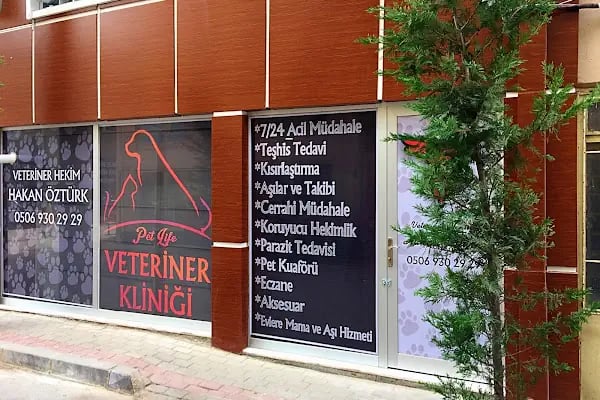 Petlife Veteriner Kliniği - Resim 8