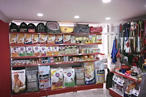 Petlife Veteriner Kliniği - Resim 9