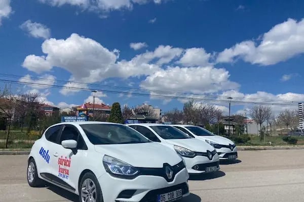 Uslu Sürücü Kursu - Resim 4