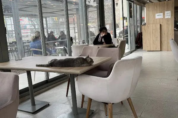 Mürdüm Cafe - Resim 7