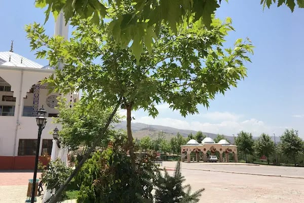 Hasan Akboğa Cami - Resim 7
