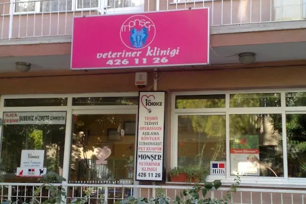 Monşer Veteriner Kliniği - Resim 12