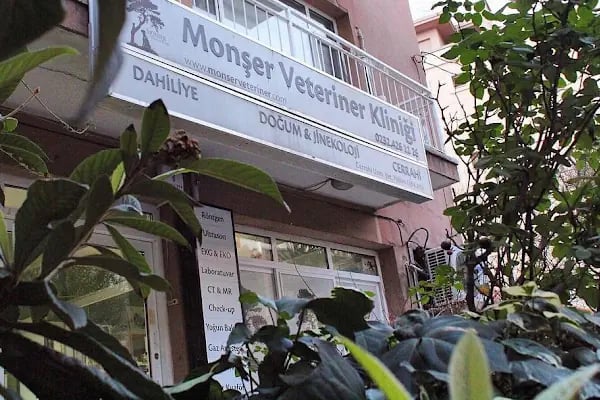 Monşer Veteriner Kliniği - Resim 1